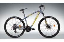 Фото: Велосипед FORWARD AGRIS 2.0 Disc, 27.5, рама 17, цвет серый